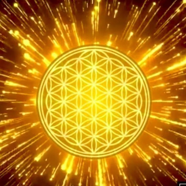 photo_2025-05-26_22.39.42... undefined